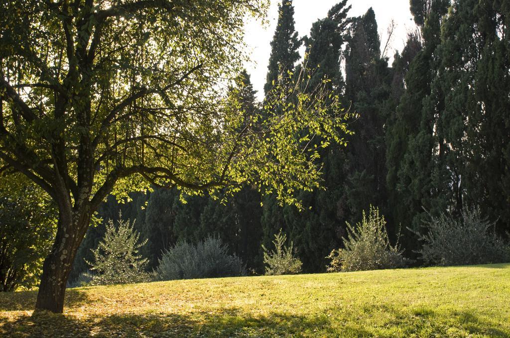 Villa Montaperti Monteaperti  Habitación foto